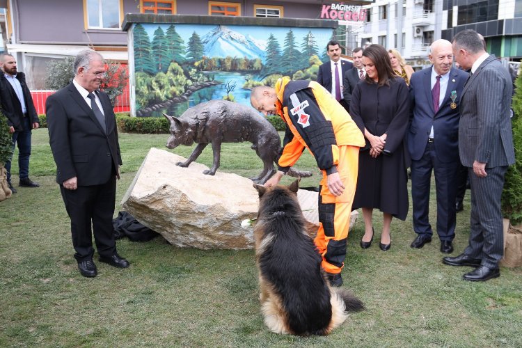 Kahraman köpek Mancs’in anısı İzmit'te yaşatılacak -