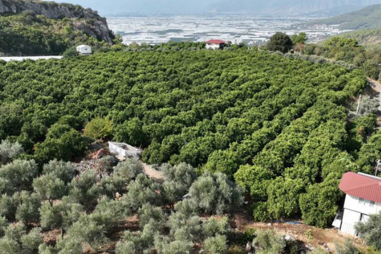 Kapalı devre sulama yüzleri güldürdü -