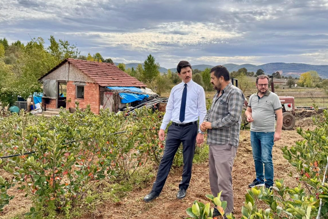 Kaymakam Kahraman’dan Ahududu ve Aronya tarlalarında inceleme -