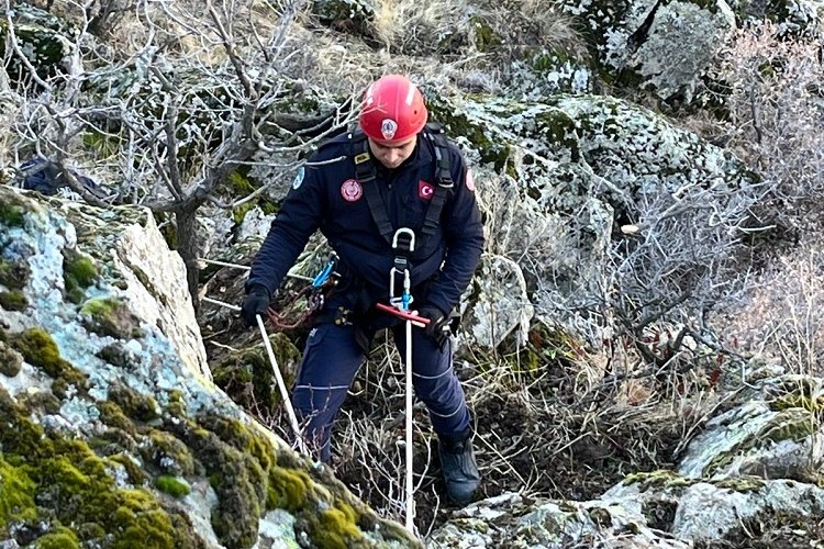 Kayseri Büyükşehir'den 'keçi' operasyonu -