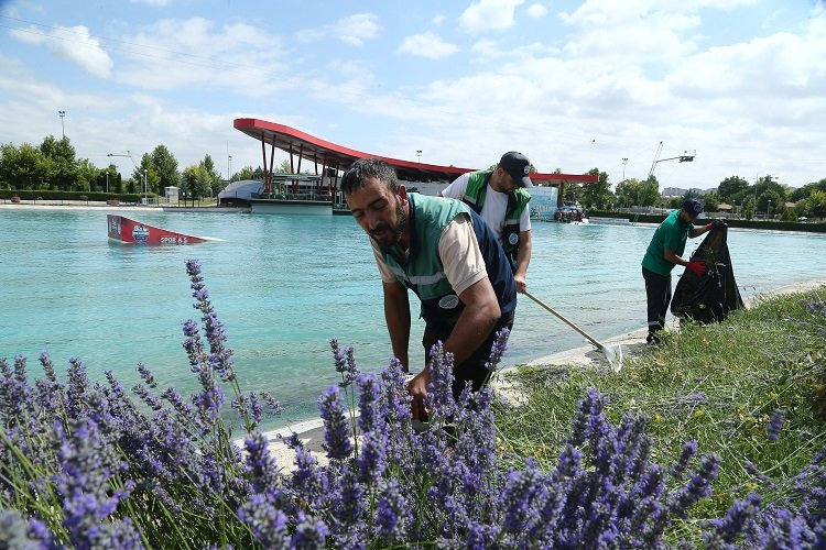 Kayseri'de 160 bin lavantanın hasadına başladı -