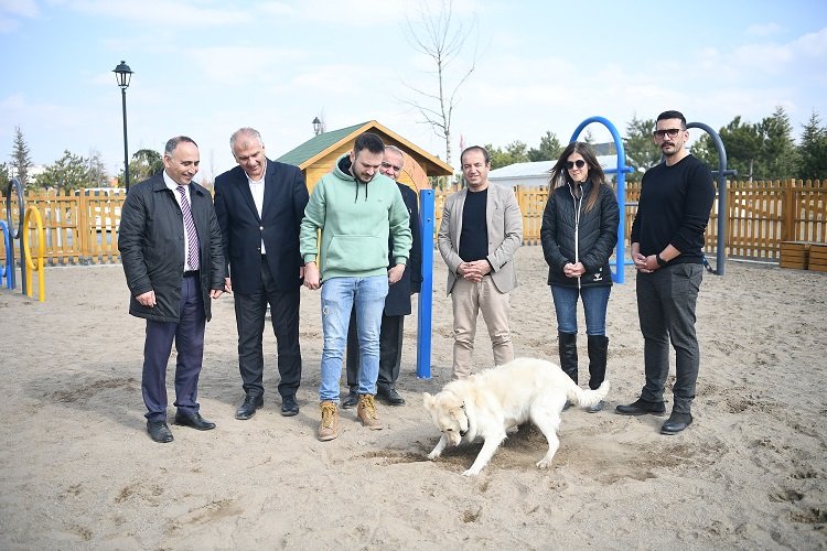 Kayseri'de köpek eğitim parkı Millet Bahçesi'nde hizmete hazır -