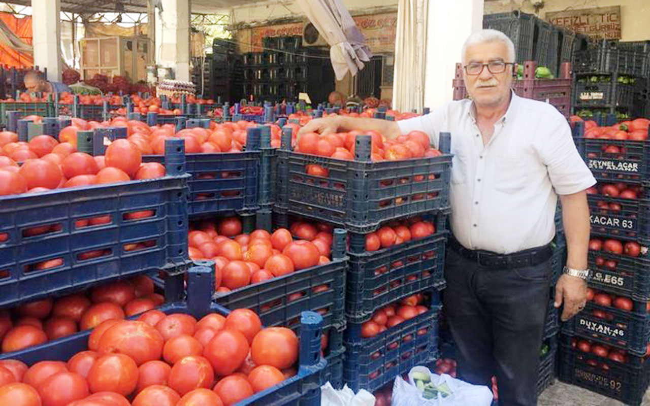 Kilis’te salçalık domatesler çıktı