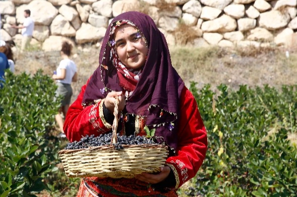 Kilosu 300 liraya satılıyor! Üreticinin yüzü gülüyor -