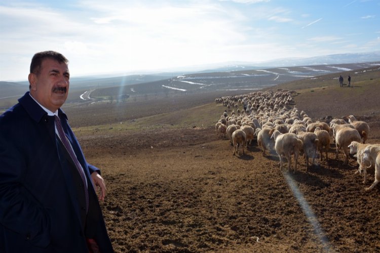 Küçükbaş yetiştiricileri için önemli fırsat -