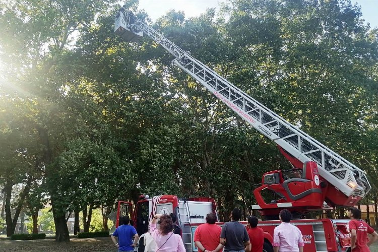 Kocaeli'de ağaçta kalan İHA’yı itfaiye kurtardı -