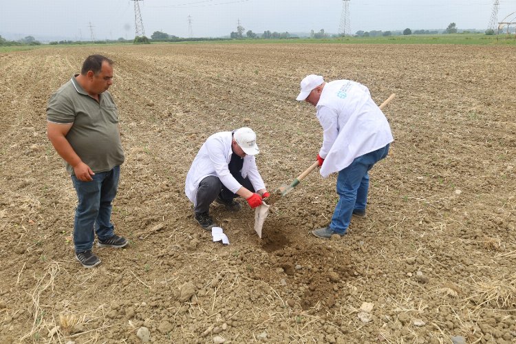 Kocaeli'de çiftçilere ücretsiz toprak analizi -