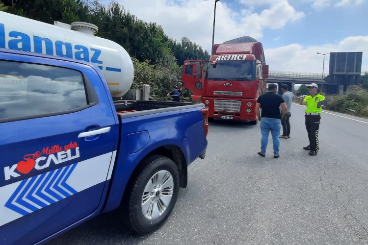 Kocaeli'de kurbanlıkların nakliyesine sıkı denetim -