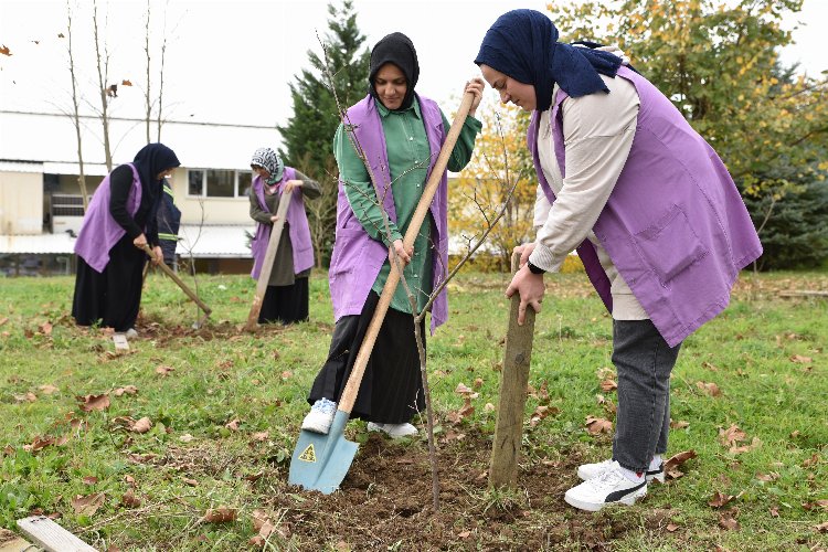 Kocaeli'de Metraco Bizimköy’ü ağaçlandırıyor -