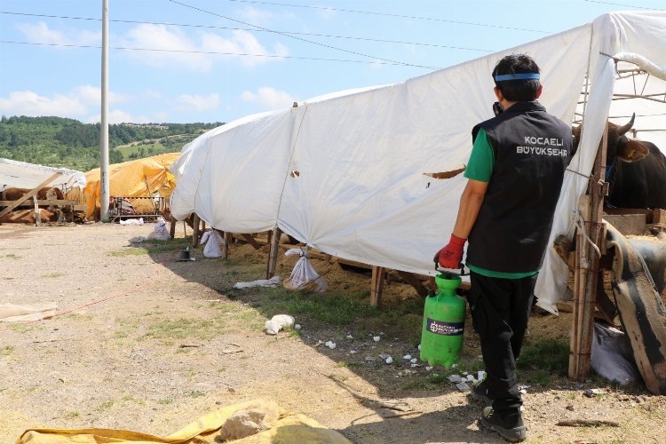 Kocaeli'de öncelik insan sağlığı -