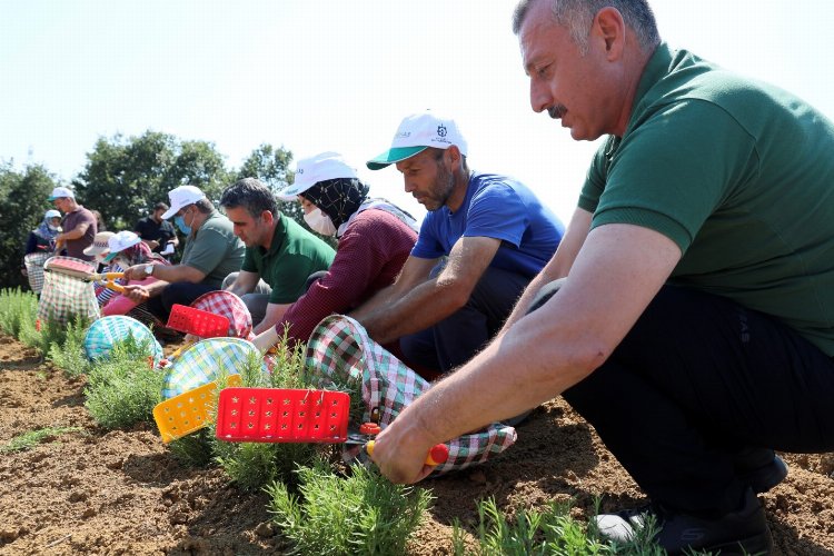 Kocaeli'nde kooperatif ve birliklere yüzde 75 hibe desteği -