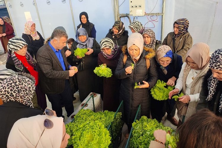 Kocaeli'nde topraksız tarıma kadın çiftçilerden yoğun ilgi -