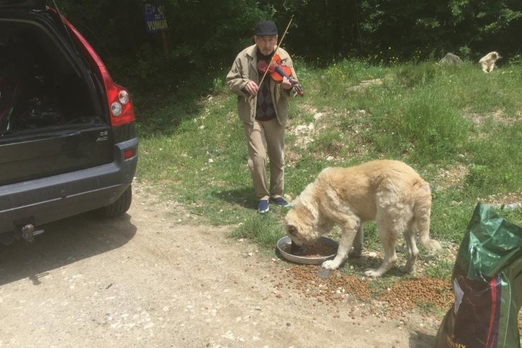 Kırklareli Vizeli kemancı Turunç, sahipsiz canlara keman çalıyor -