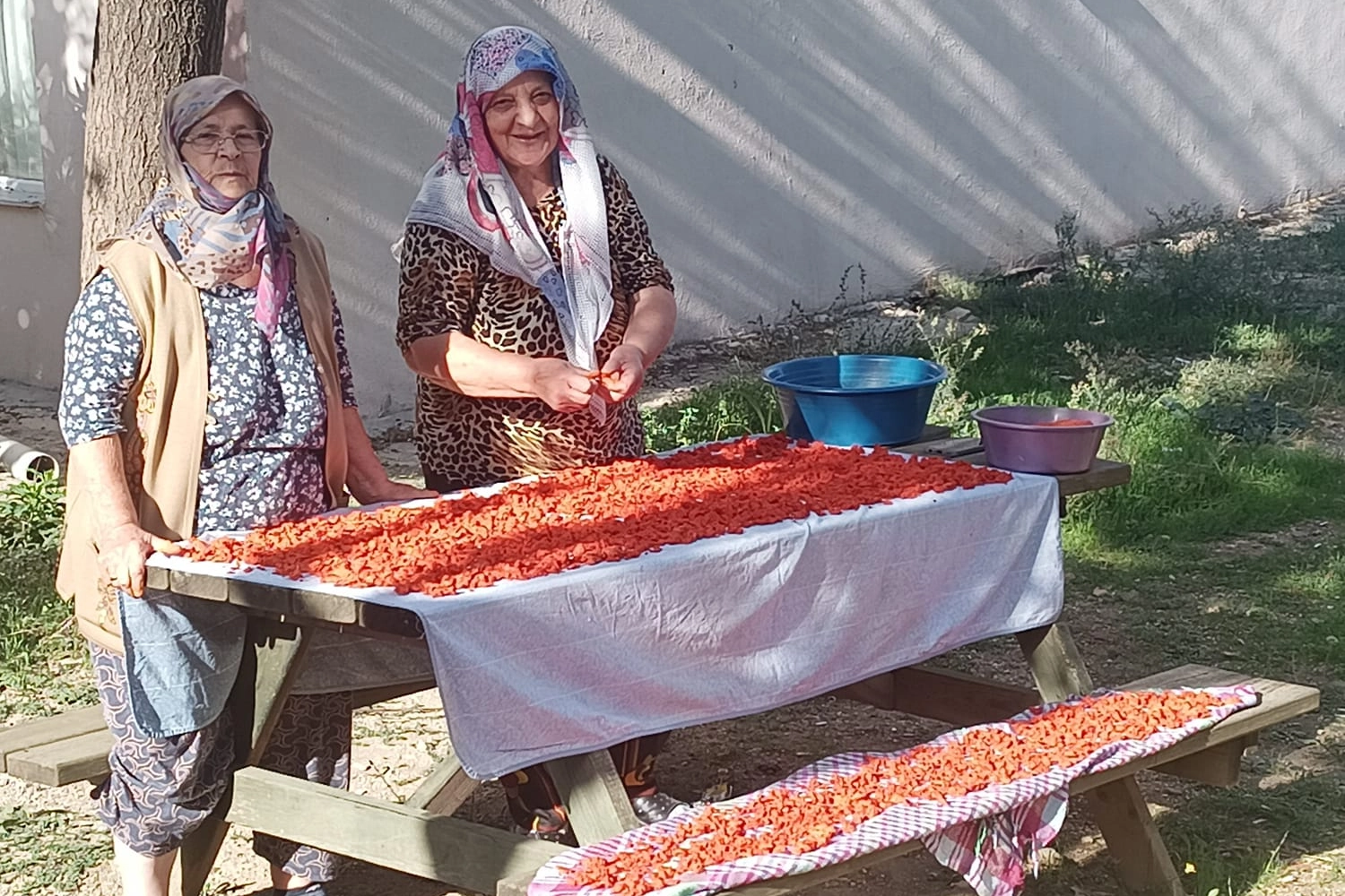 Kışın en ilgi gören tarhana çorbası için hazırlıklar başladı -