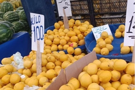 Limon üreticisinin sesine duyarsızlık fahiş fiyatlara neden oldu -