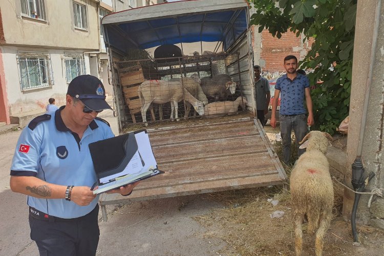 Mahalle arasında kurban satışına izin yok -