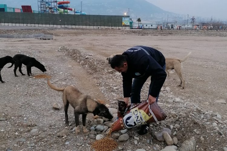 Manisa afet bölgesindeki can dostlarını unutmadı -