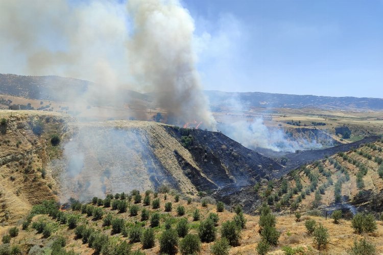 Manisa Alaşehir'de korkutan yangın kontrol altına alındı -