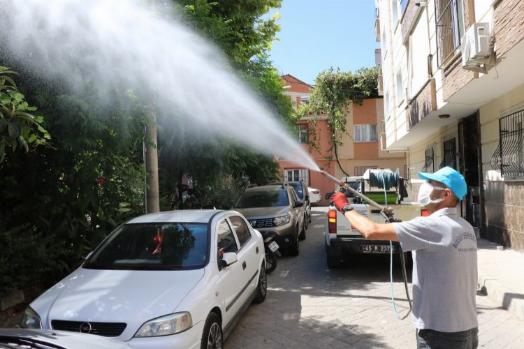 Manisa'da haşereyle mücadele sürüyor -