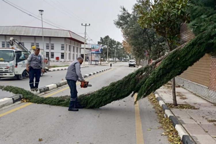 Manisa'da tüm ekipler fırtınaya hazır 