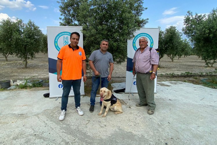 Manisa'da 'Üzüm' çiftçinin can yoldaşı olacak -