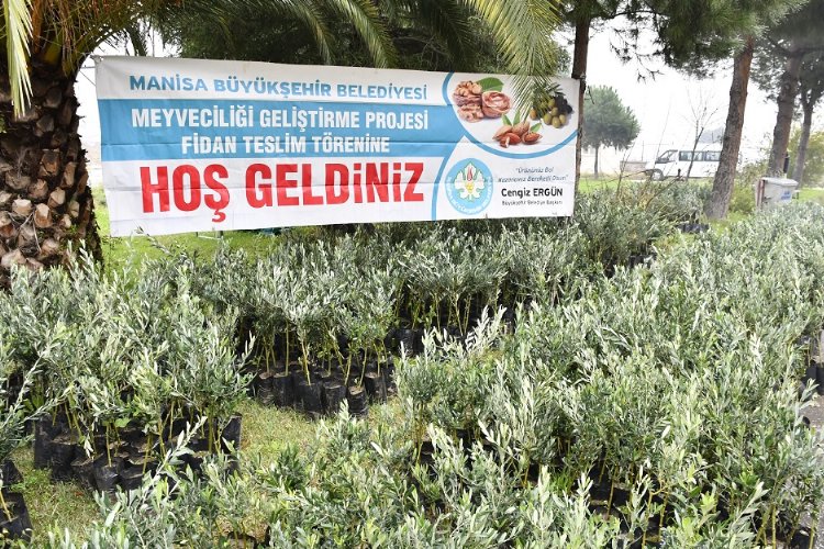 Manisa'dan üreticiye bu kez fidan desteği -