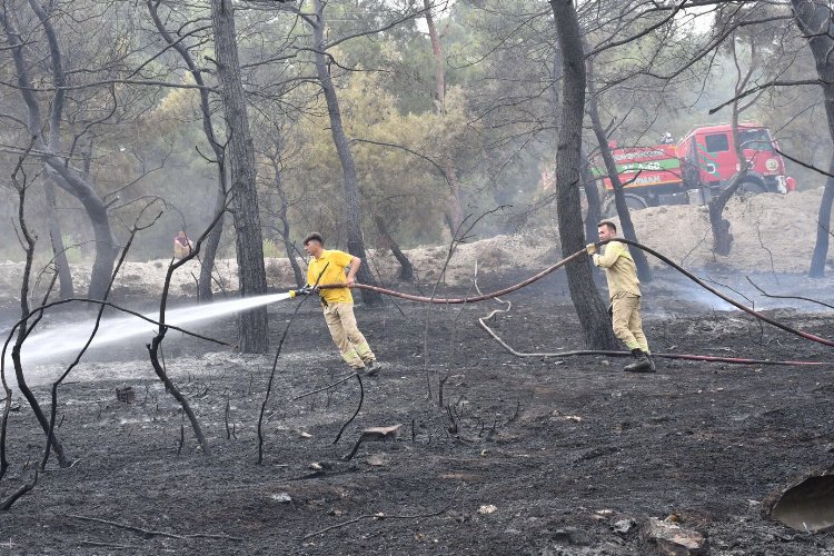 Manisa İtfaiyesi'nin yangın mücadelesi sürüyor -