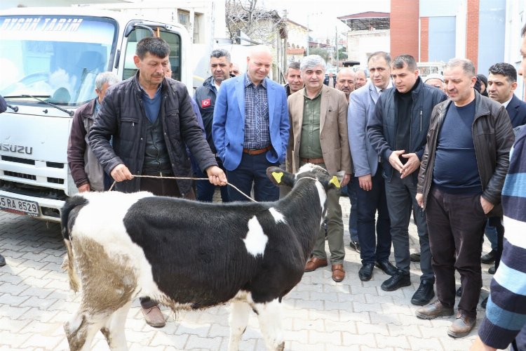 Manisa Kulalı hayvan üreticilerine önemli destek -