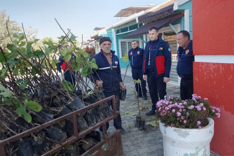 Manisa'nın 17 ilçesine 120 bine yakın meyve fidanı dağıtıldı -