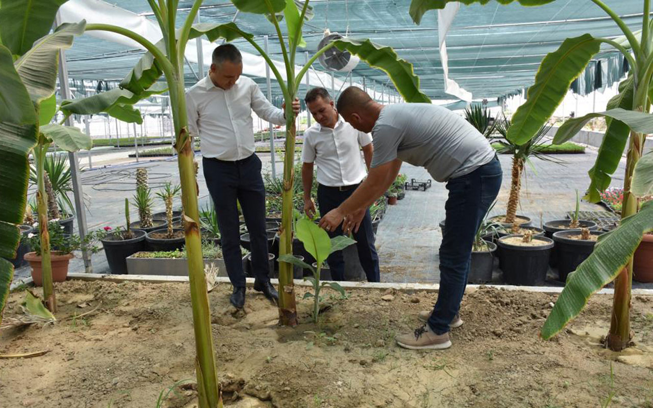 Manisa serasına ‘Tarım’sal ziyaret