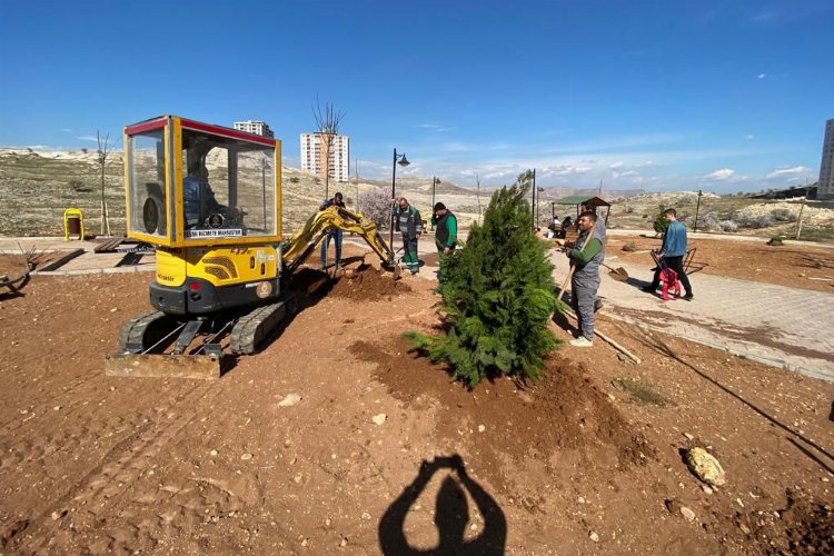 Mardin Artuklu Belediyesi kenti yeşillendiriyor -