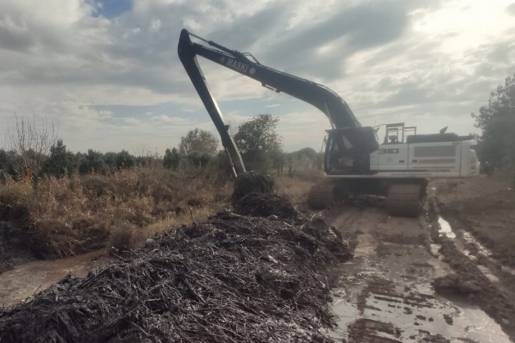 MASKİ’den Dayıoğlu'nda dere temizliği -