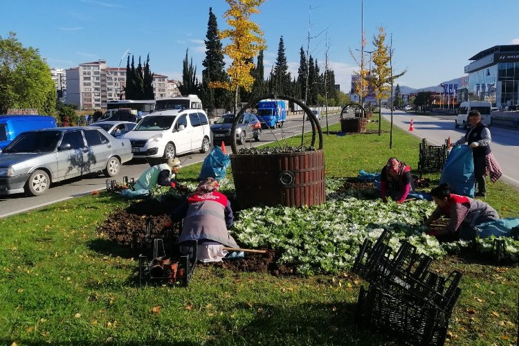 Mevsimlik çiçekler toprakla buluşuyor -