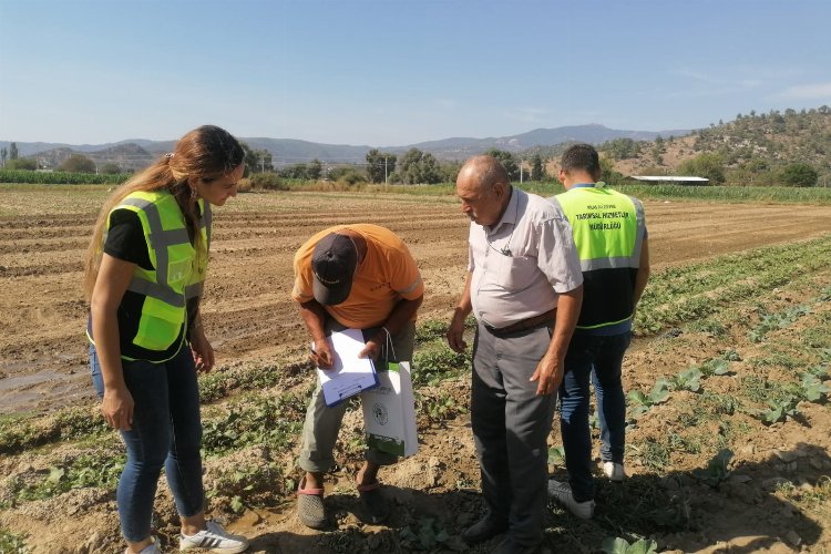 Milas'ta tarımsal üretimi desteğe devam -