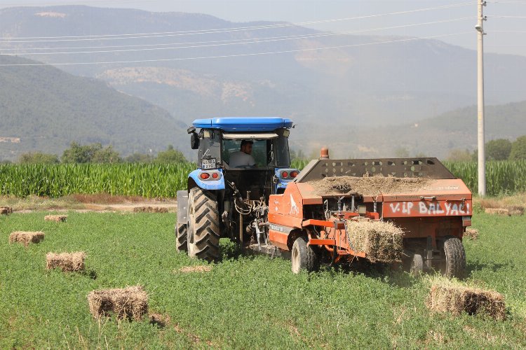 Muğla'da 700 Üreticiye 3 milyon TL değerinde yem desteği -