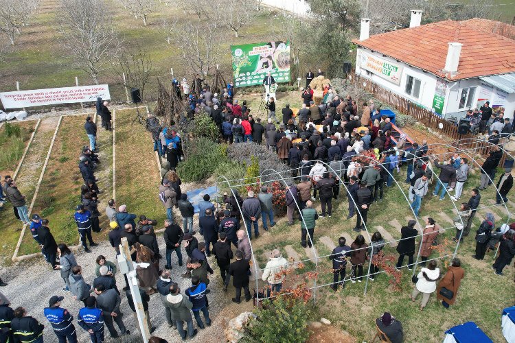 Muğla'da üreticilere fidan dağıtımına başladı -