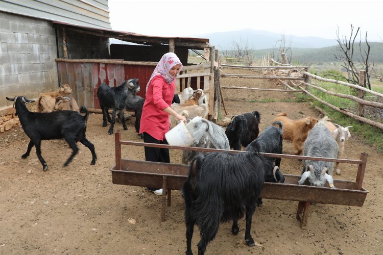 Muğlalı kadın üreticiler kazanıyor -