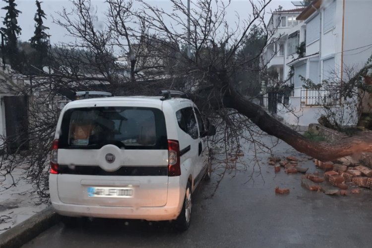 Muğla Bodrum'daki selin bilançosu ortaya çıktı: 130 ev ve iş yeri zarar gördü -