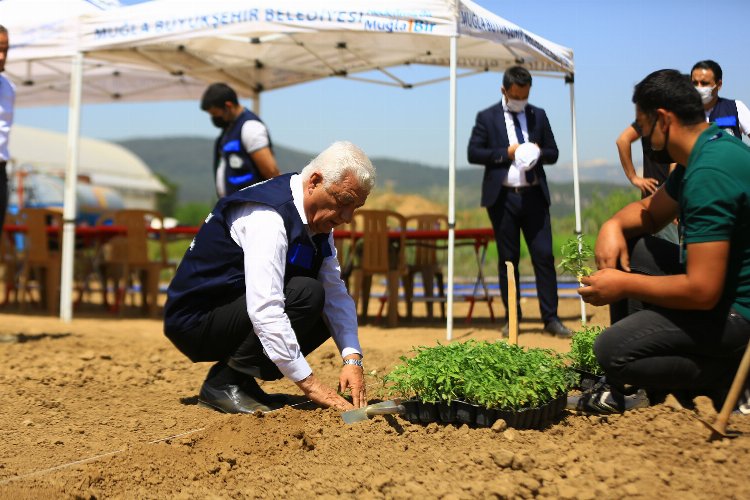 Muğla'da 13 bin 316 toprak, bitki ve su analizi yapıldı