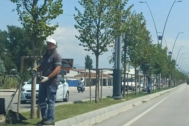 Nilüfer Belediyesi çevre düzenlemelerini sürdürüyor -