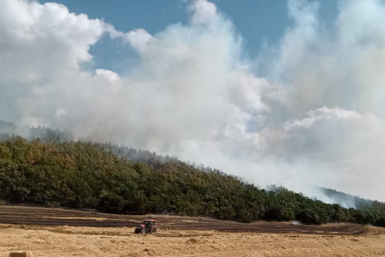 Orman İşletme Müdürü Ertunç Can Polat yangınlara karşı uyardı -