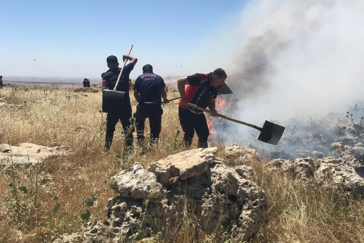 Ormanlık alanda çıkan yangın kontrol altına alındı -