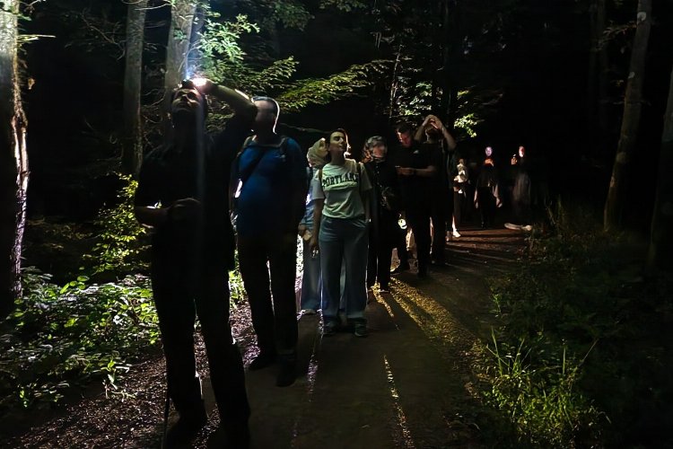 Ormanya’da macera dolu gece yürüyüşü... Yarasa dinletisi yapıldı -