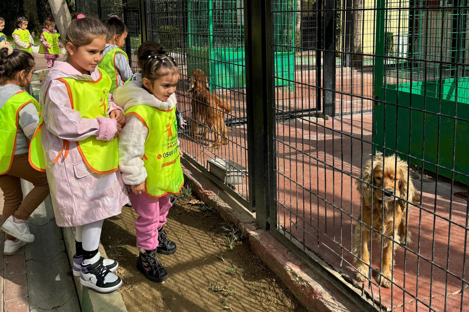 Osmangazi'de küçük hayvanseverlerden can dostlarına ziyaret -