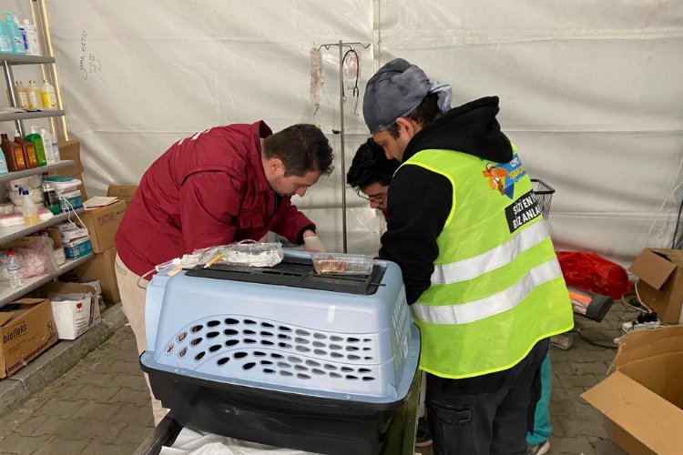 Patibüs, afet bölgesindde can dostlarının yaralarını sarıyor -