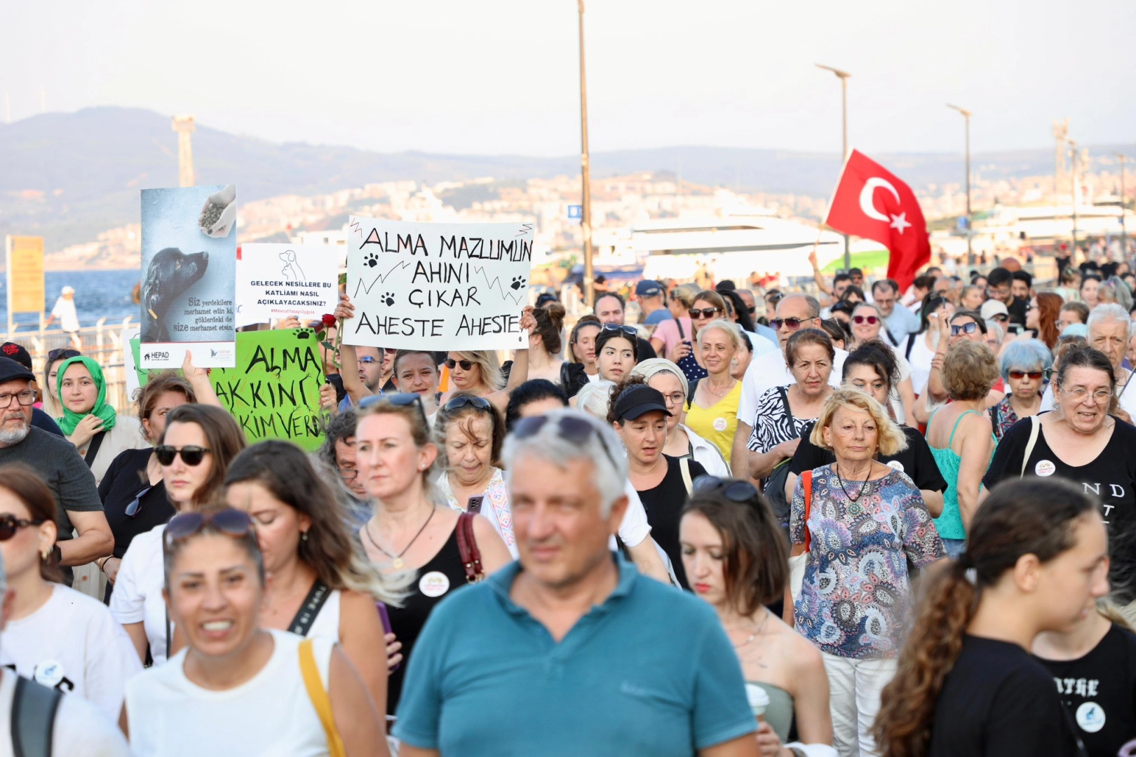 Sahipsiz hayvanlar için sesler Mudanya'dan yükseldi -