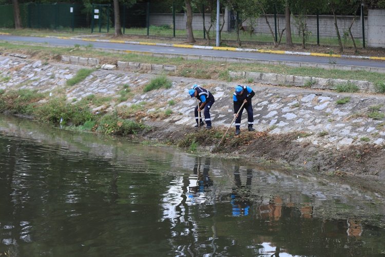 Sakarya Çark Deresi'nde rutin temizlik -