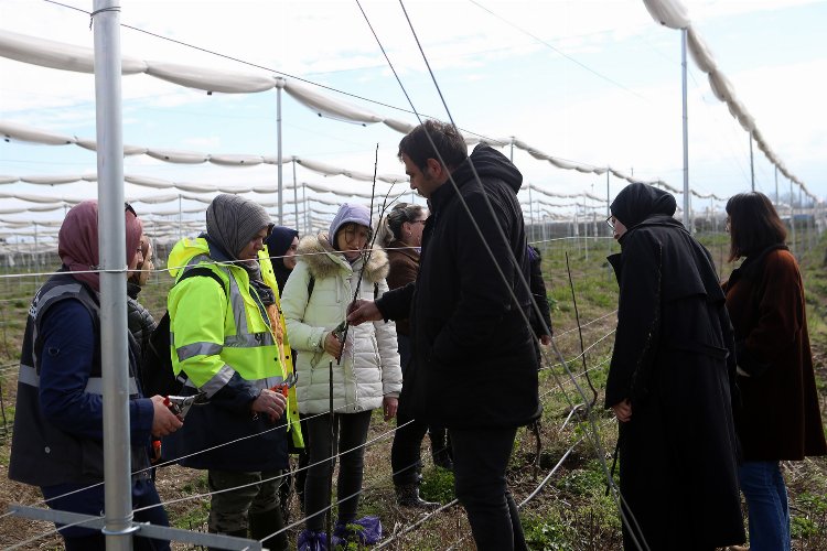 Sakarya'da Büyükşehir çalışanlarına tarımsal eğitim -