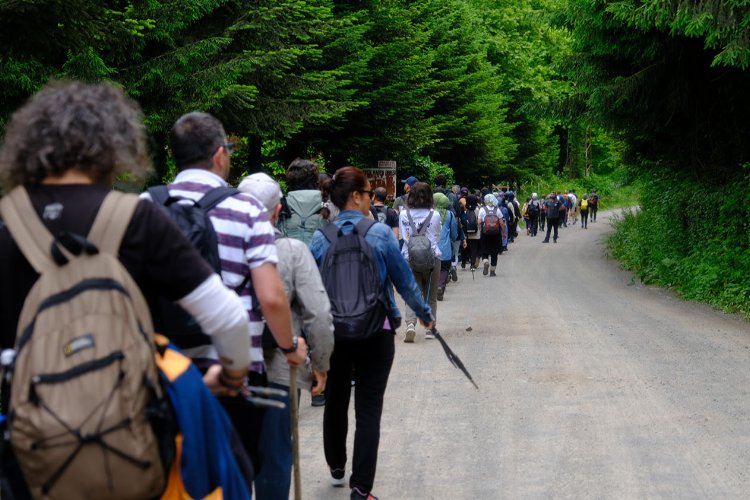 Sakarya'da büyüleyici deneyim -