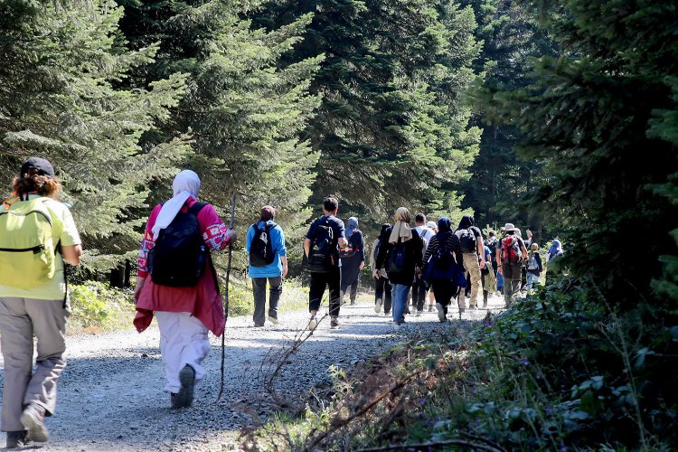 Sakarya'da doğa tutkunlarına özel deneyim -